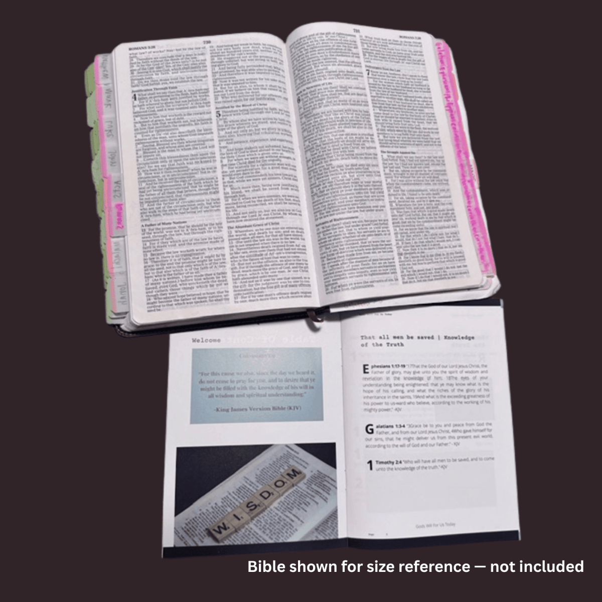 Open God's Will: Knowledge pocket scripture reference showing interior KJV verse pages beside an open tabbed Holy Bible (Bible not included), part one by Sean and Shalon Ramirez